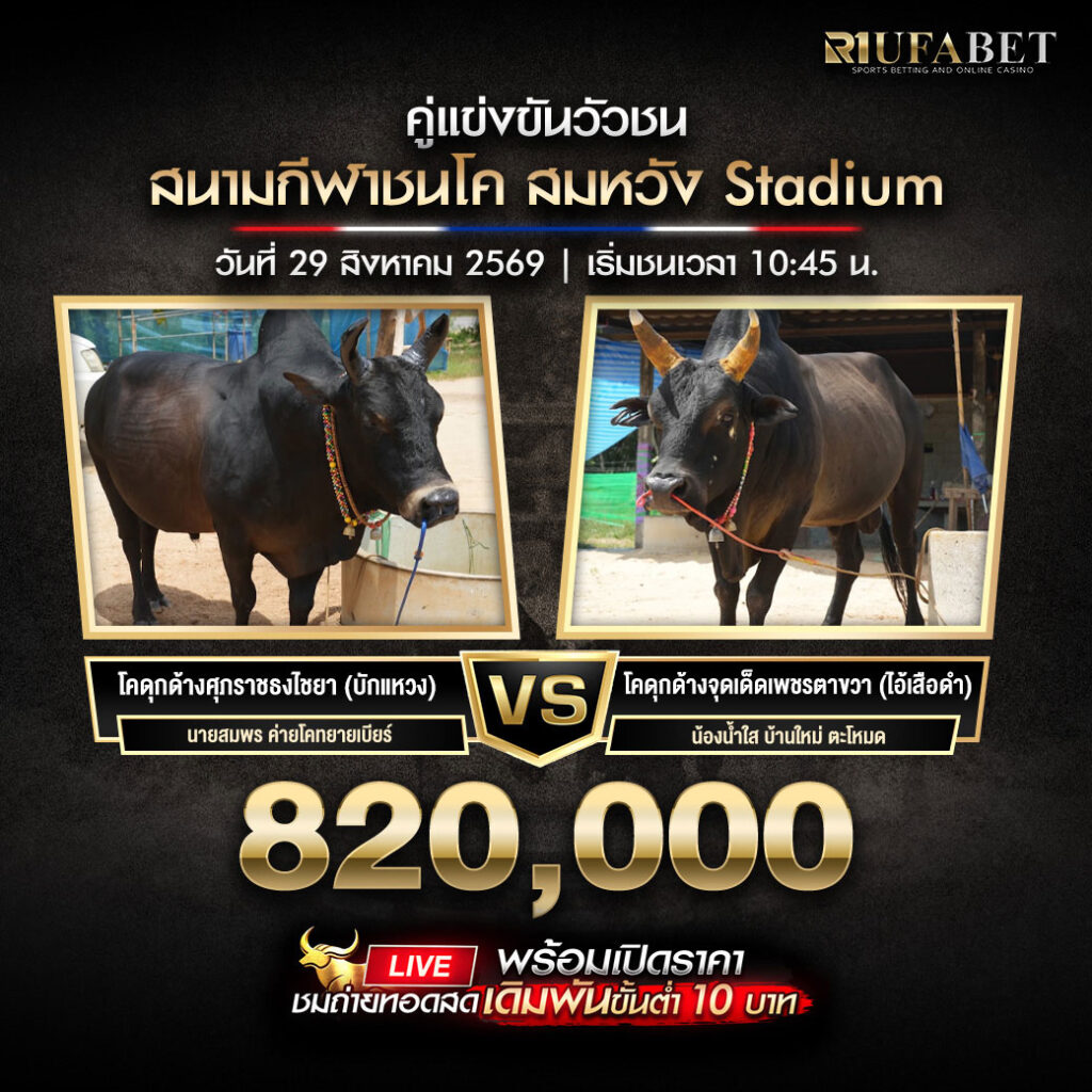 คู่เอกวัวชนสนามกีฬาชนโคสมหวัง Stadium