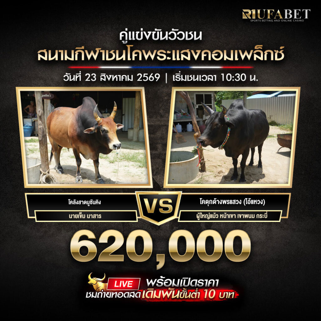 คู่เอกวัวชนสนามกีฬาชนโคพระแสงคอมเพล็กซ์