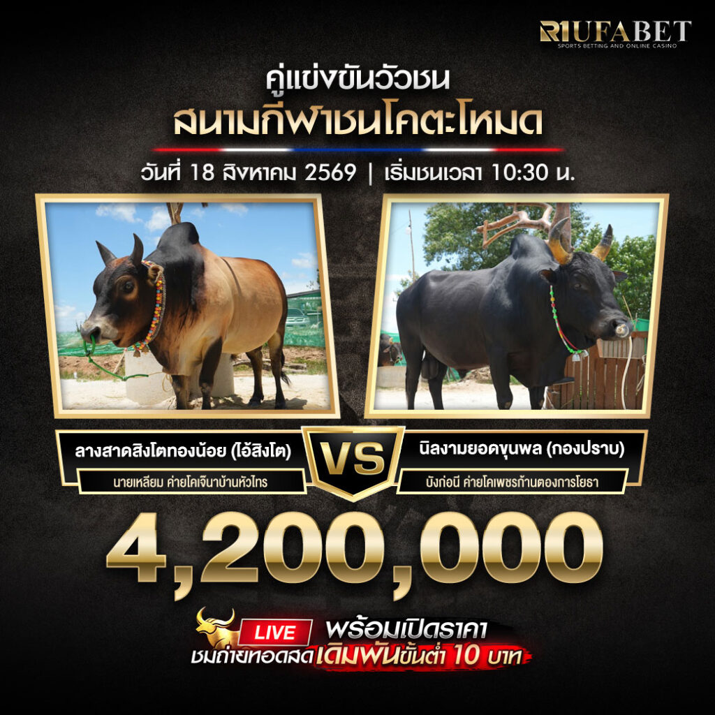โปรแกรมวัวชน