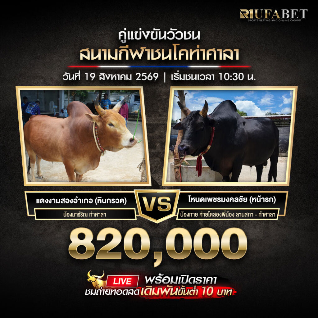 คู่เอกวัวชนสนามท่าศาลา