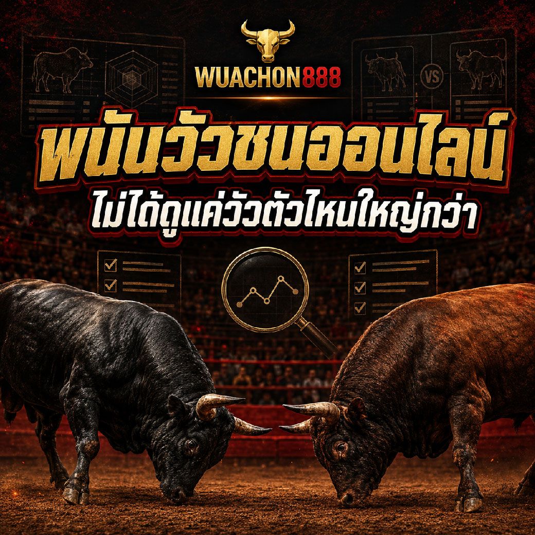 พนันวัวชนออนไลน์