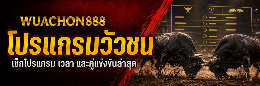 โปรแกรมวัวชน