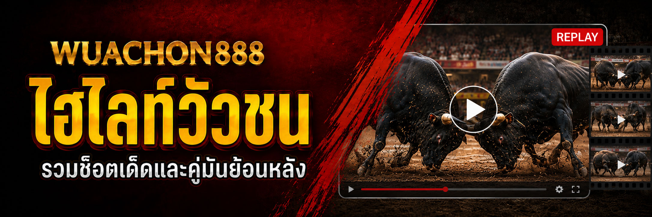 ไฮไลท์วัวชน