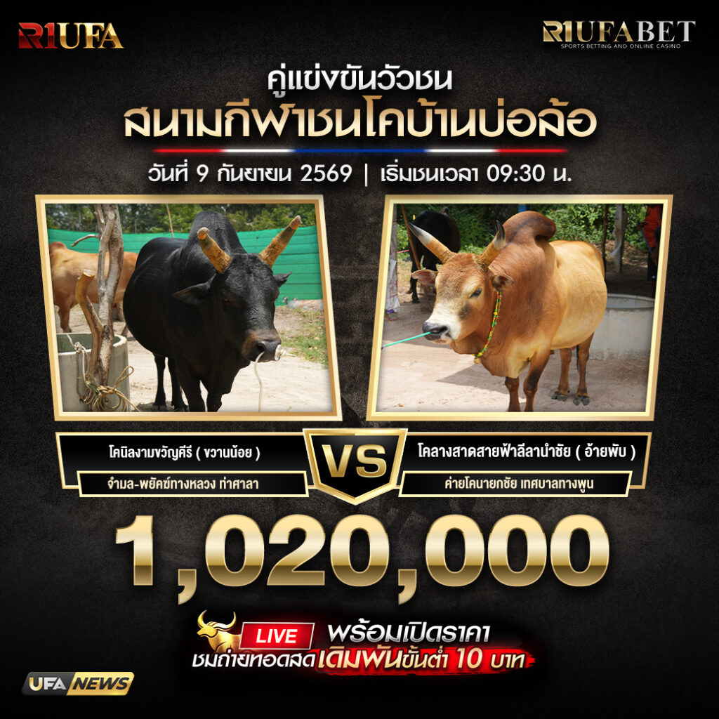โปรแกรมวัวชนสนามกีฬาชนโคบ้านบ่อล้อ