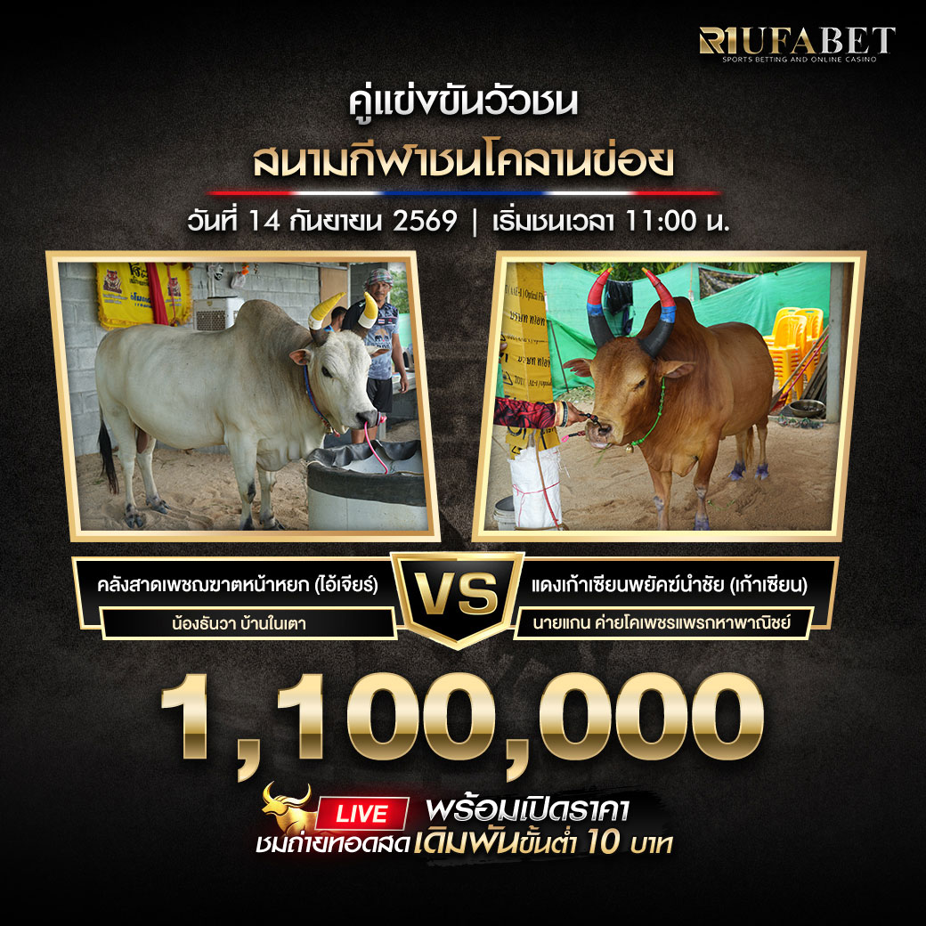 โปรแกรมวัวชนสนามกีฬาชนโคลานข่อย