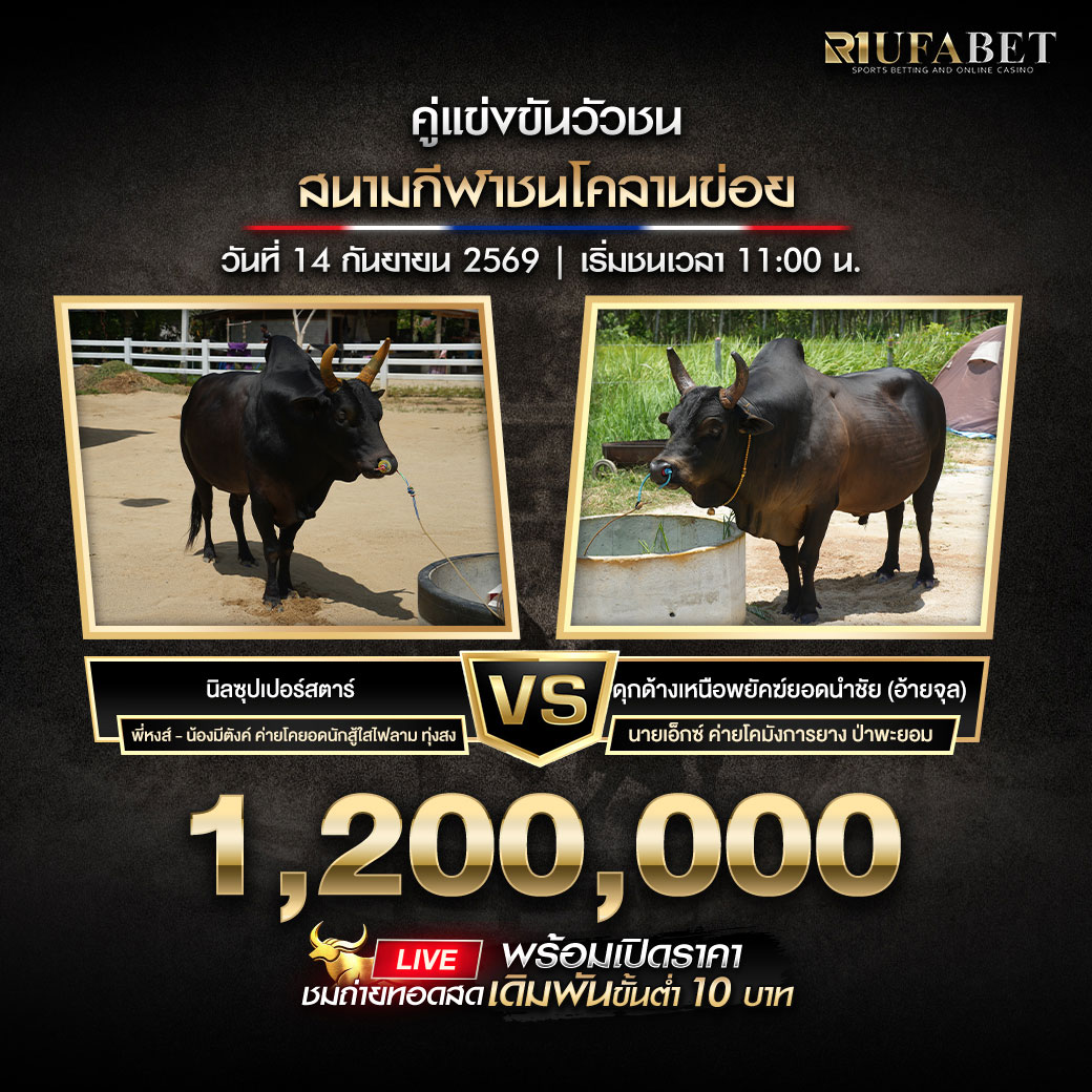 โปรแกรมวัวชนสนามกีฬาชนโคลานข่อย