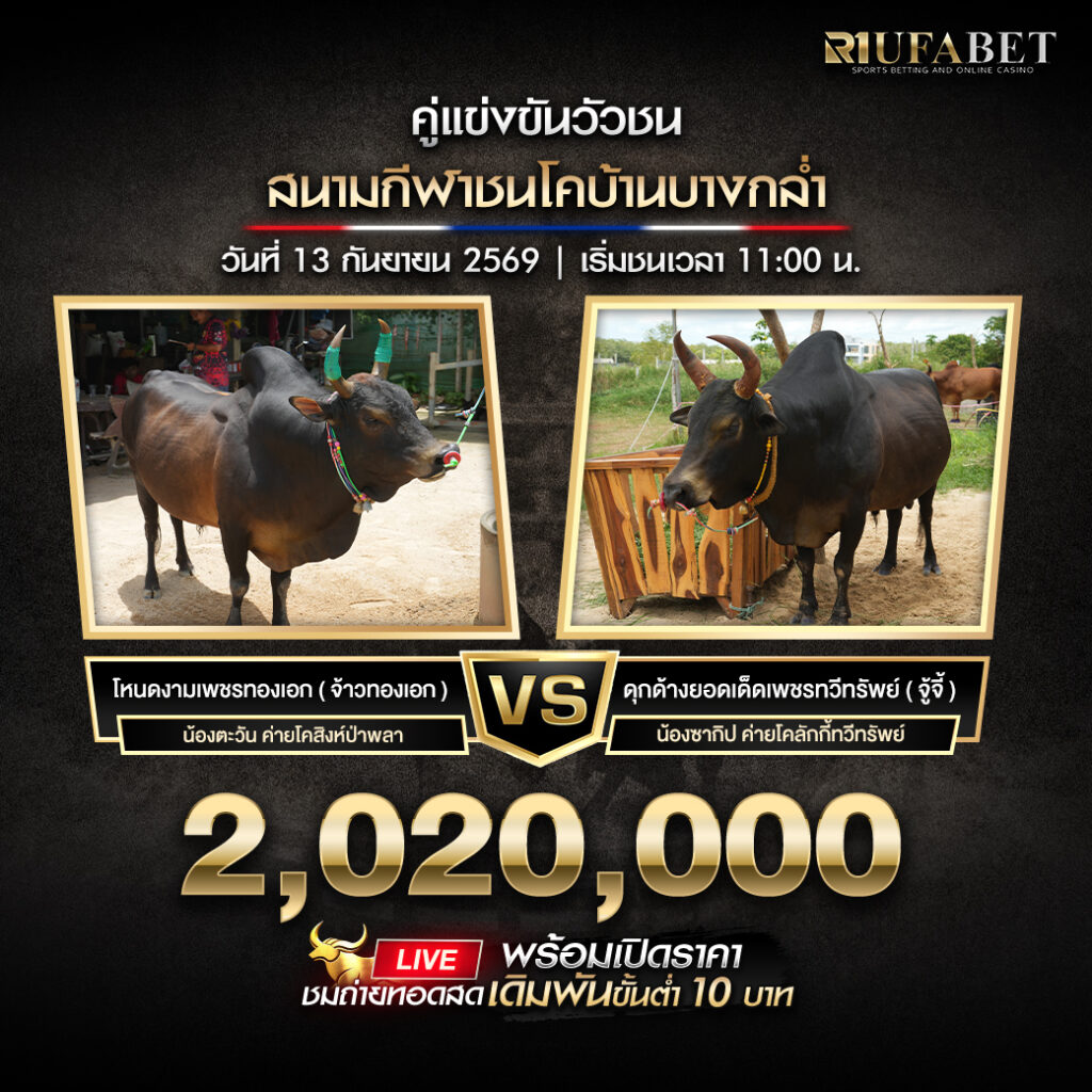 โปรแกรมวัวชนสนามกีฬาชนโคบ้านบางกล่ำ