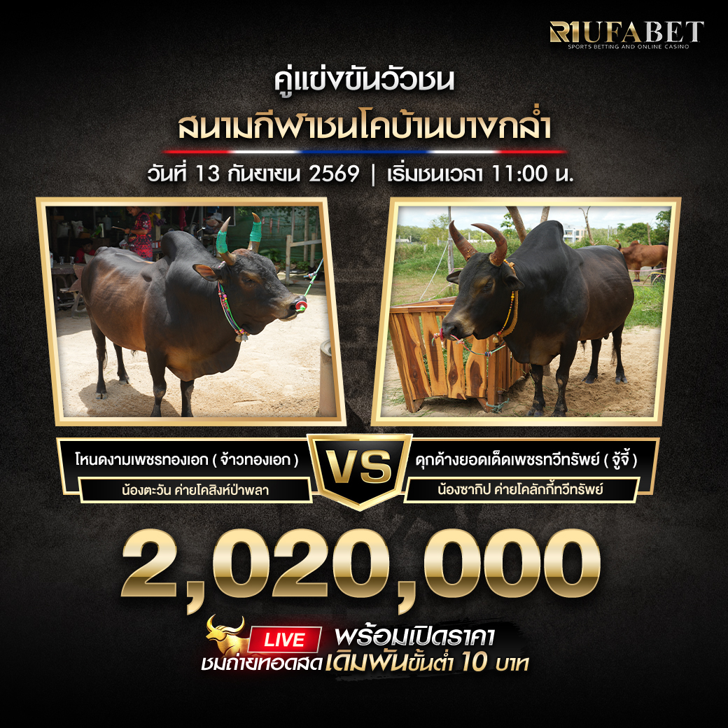 โปรแกรมวัวชนสนามกีฬาชนโคบ้านบางกล่ำ