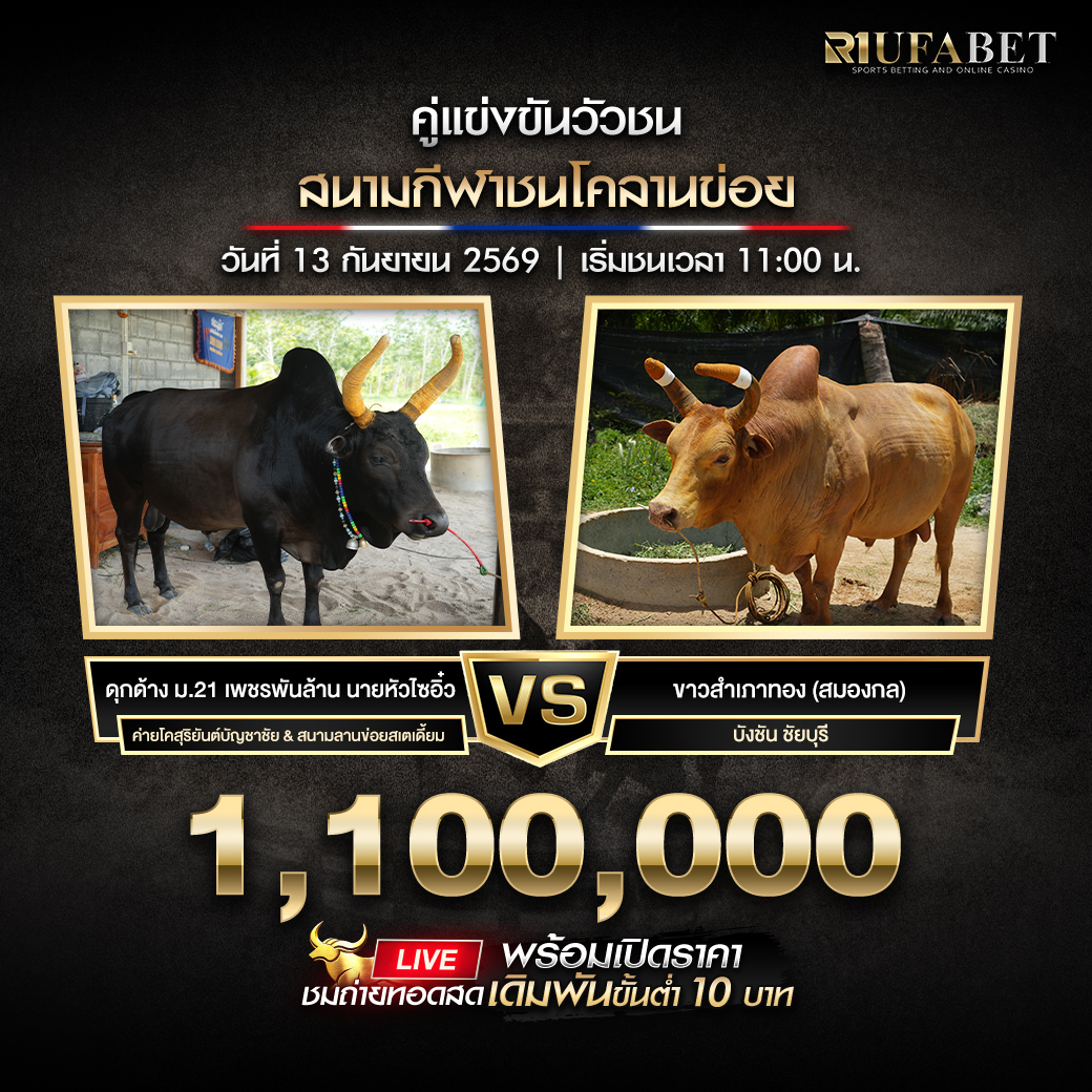 โปรแกรมวัวชนสนามกีฬาชนโคลานข่อย