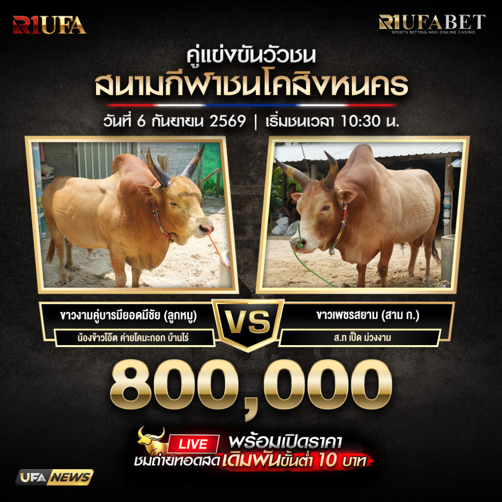 โปรแกรมวัวชนสนามกีฬาชนโคสิงหนคร