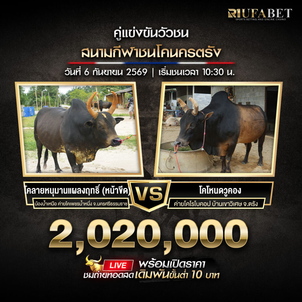 โปรแกรมวัวชนสนามกีฬาชนโคนครตรัง
