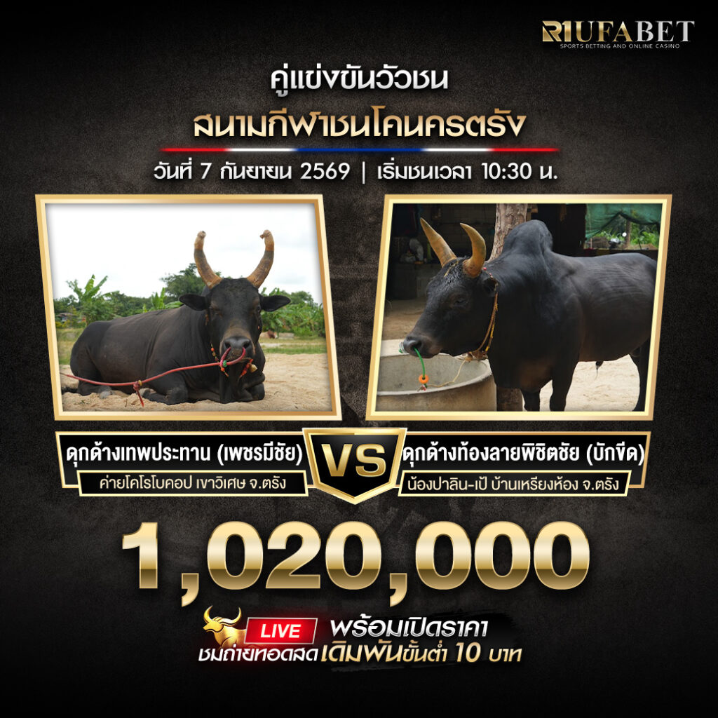 โปรแกรมวัวชนสนามกีฬาชนโคนครตรัง