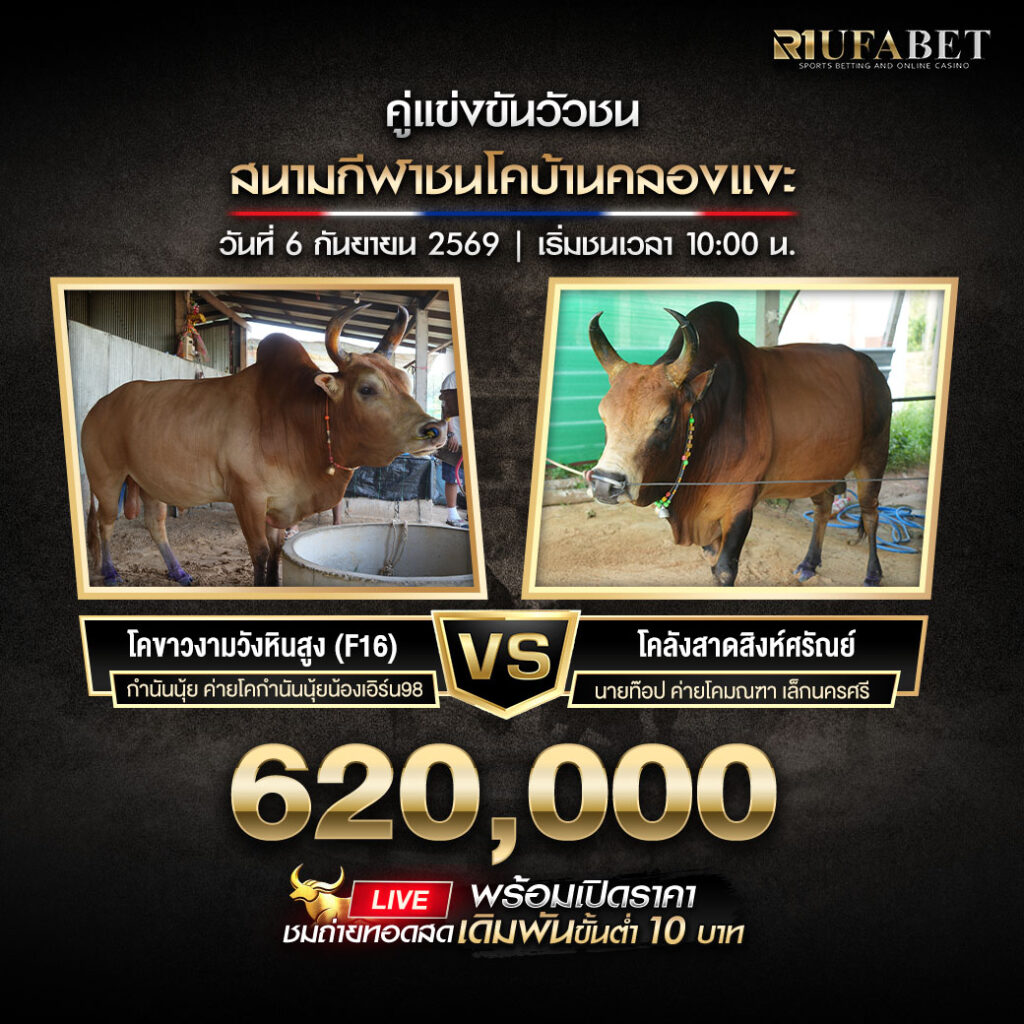 โปรแกรมวัวชนสนามกีฬาชนโคบ้านคลองแงะ
