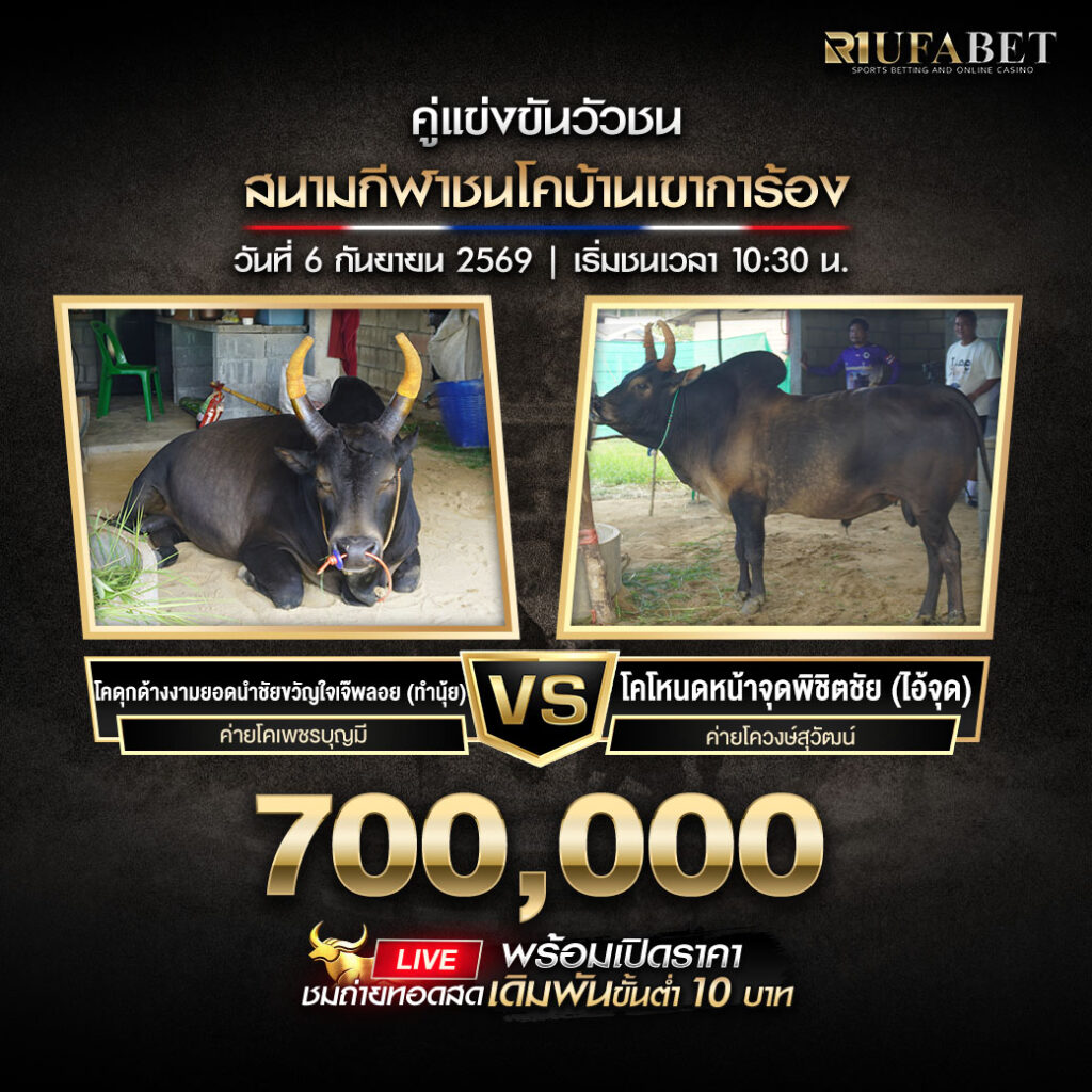 โปรแกรมวัวชนสนามกีฬาชนโคบ้านเขาการ้อง