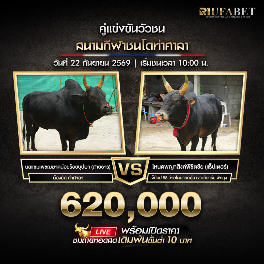 โปรแกรมวัวชนสนามกีฬาชนโคท่าศาลา