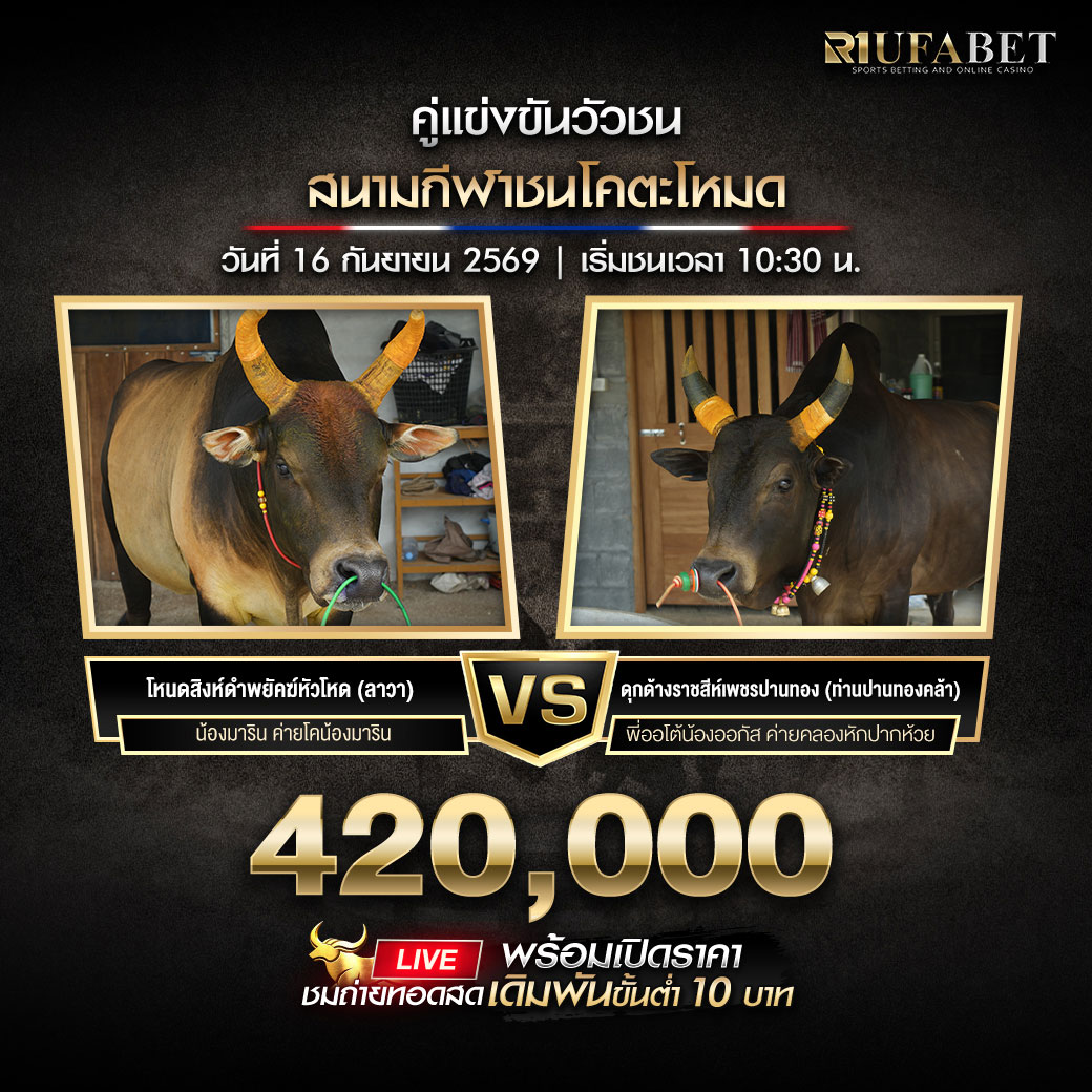 โปรแกรมวัวชนสนามกีฬาชนโคตะโหมด