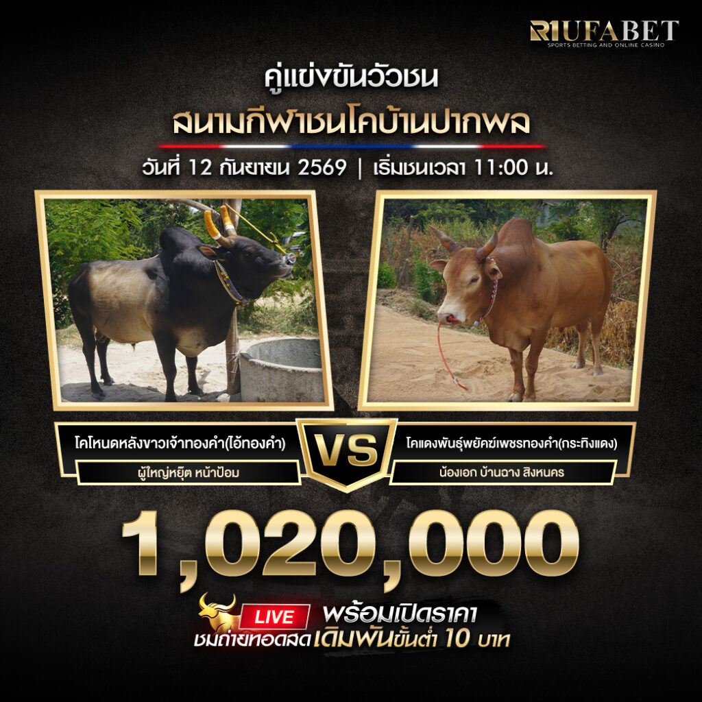 โปรแกรมวัวชนสนามกีฬาชนโคบ้านปากพล