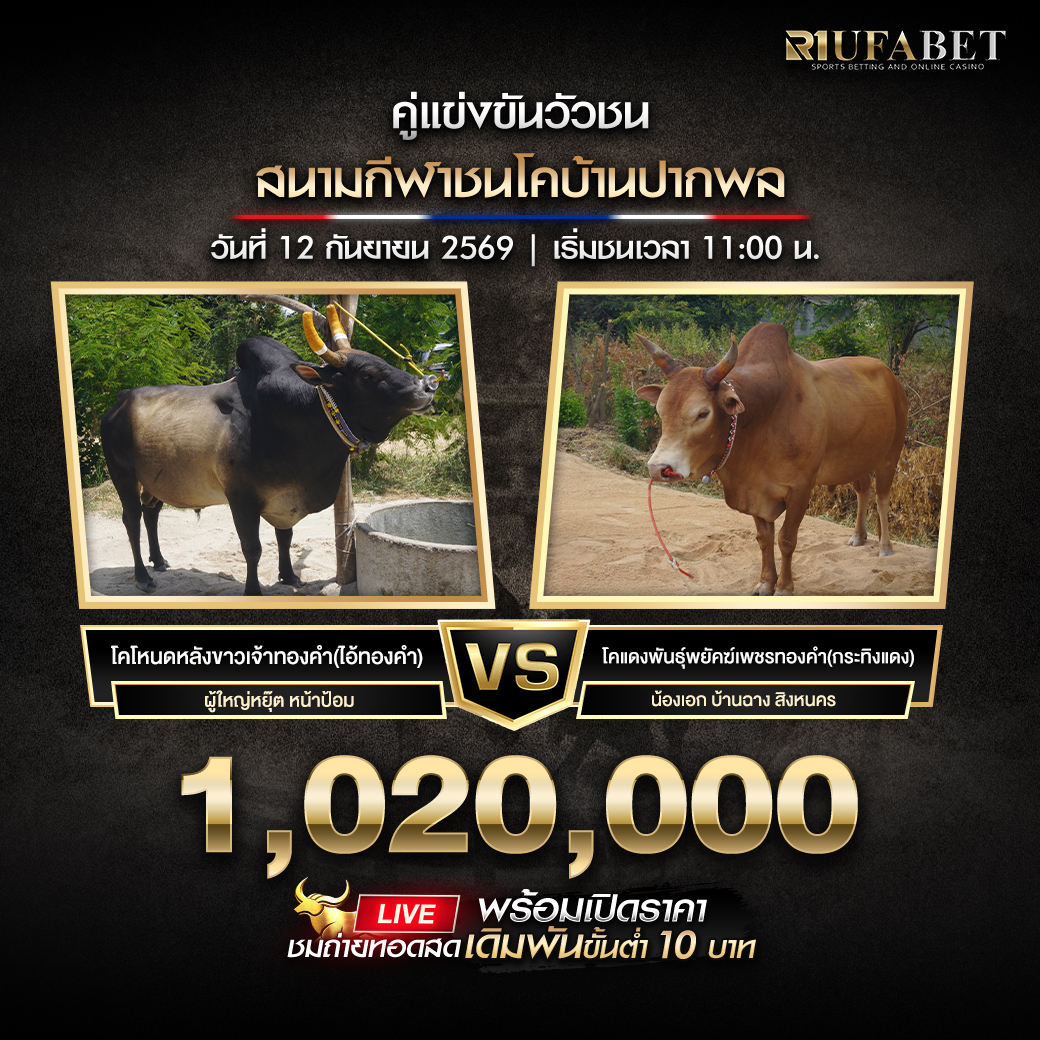 โปรแกรมวัวชนสนามกีฬาชนโคบ้านปากพล
