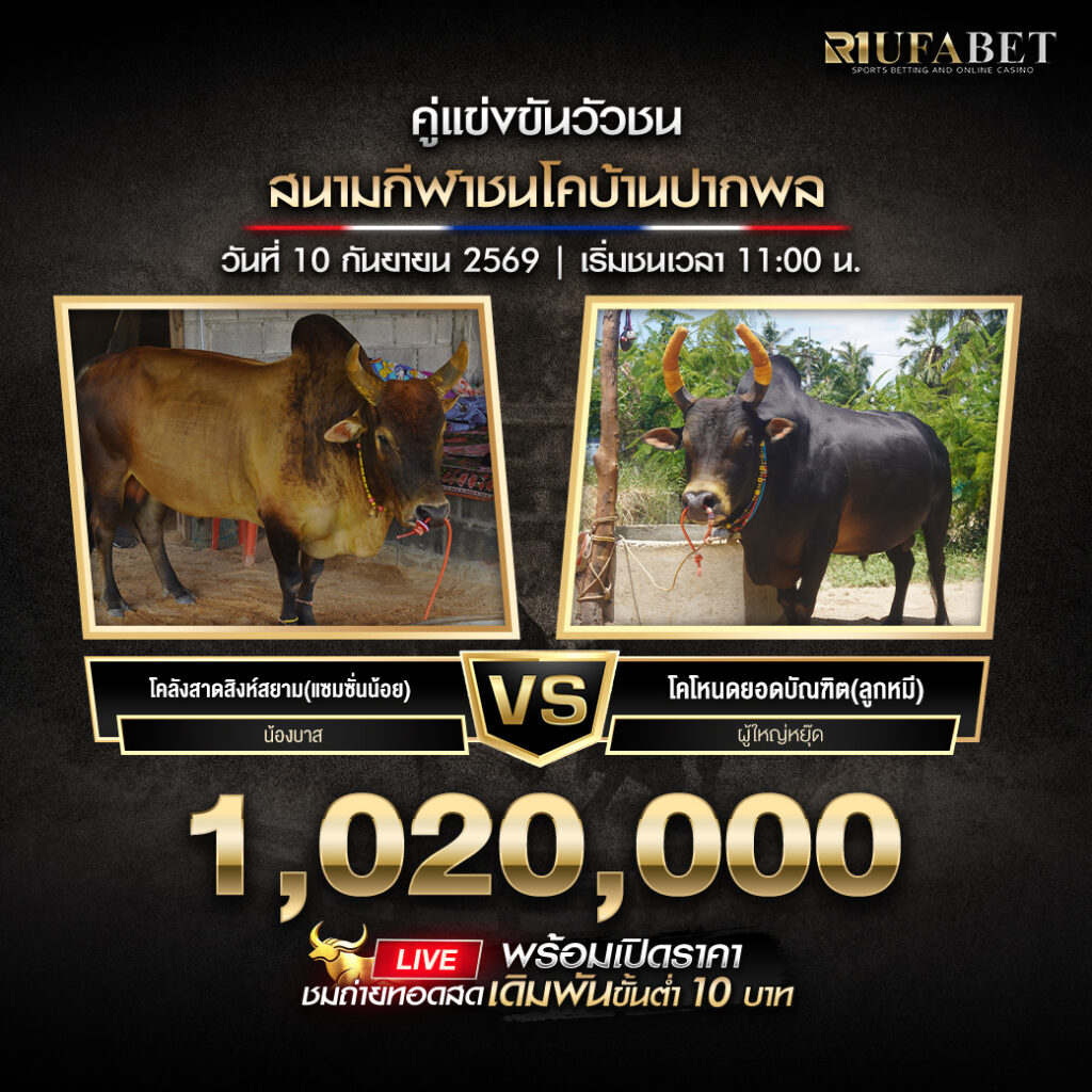 โปรแกรมวัวชนสนามกีฬาชนโคบ้านปากพล