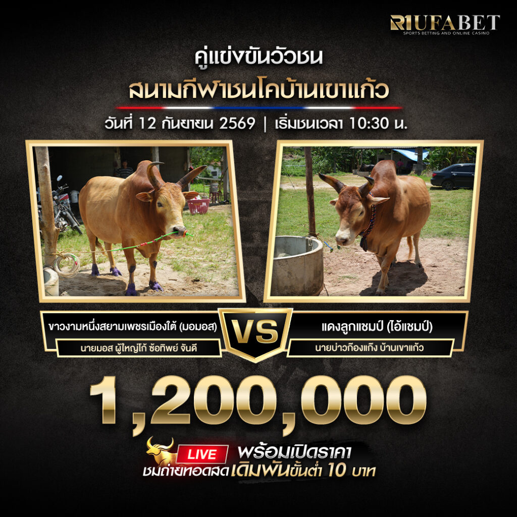 โปรแกรมวัวชนสนามกีฬาชนโคบ้านเขาแก้ว